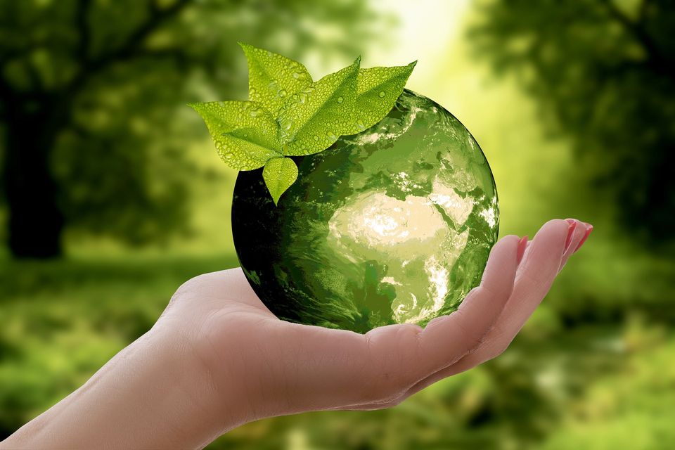Achieving Sustainability in Big Pharma